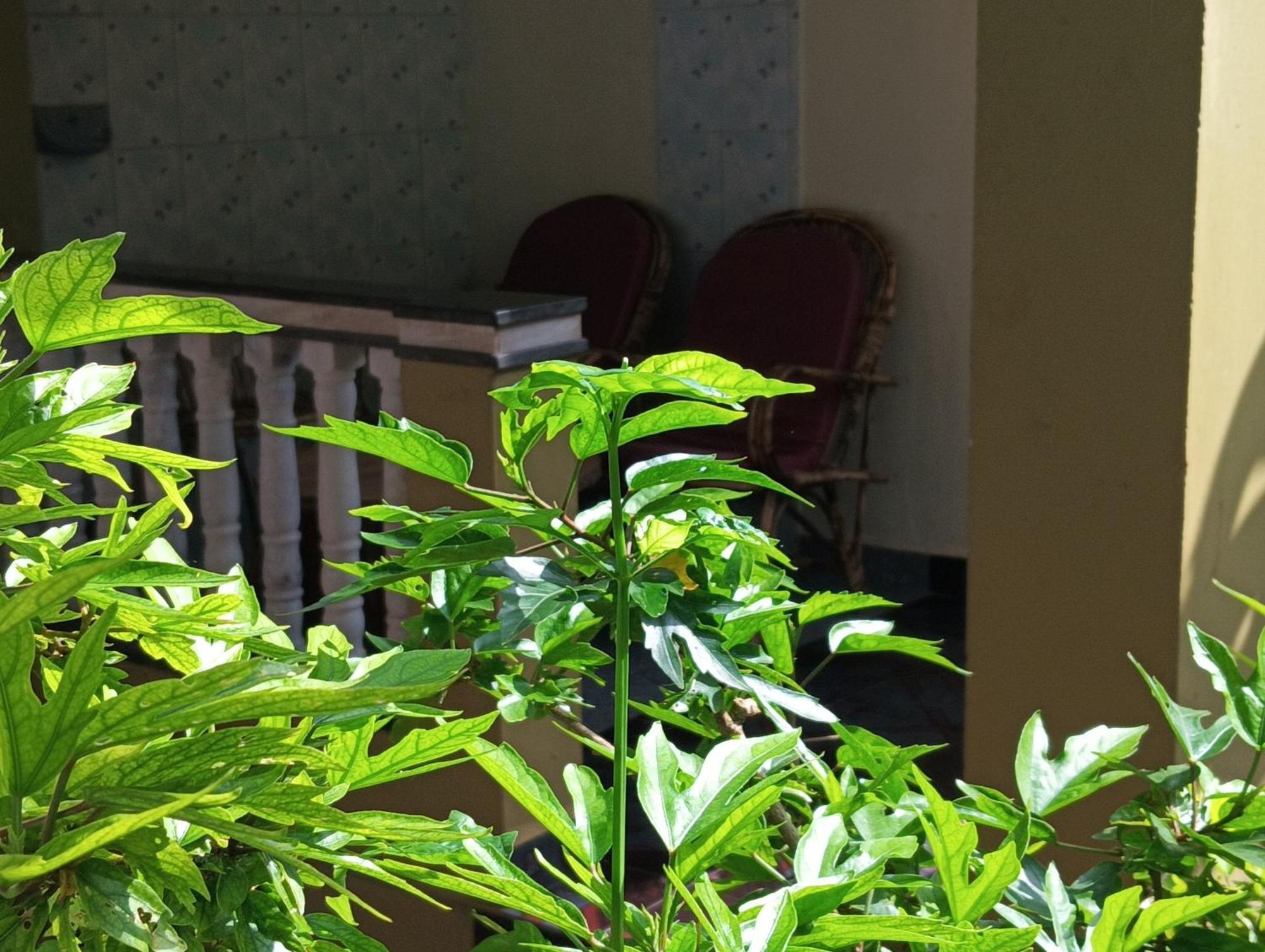 Monsoon Hotel Агонда Стая снимка